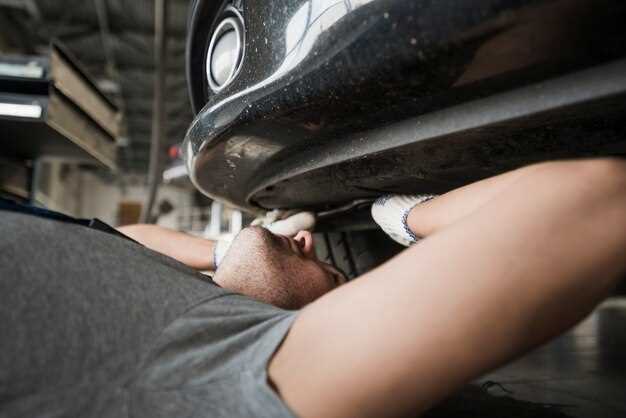 Mantener la carrocería limpia y seca