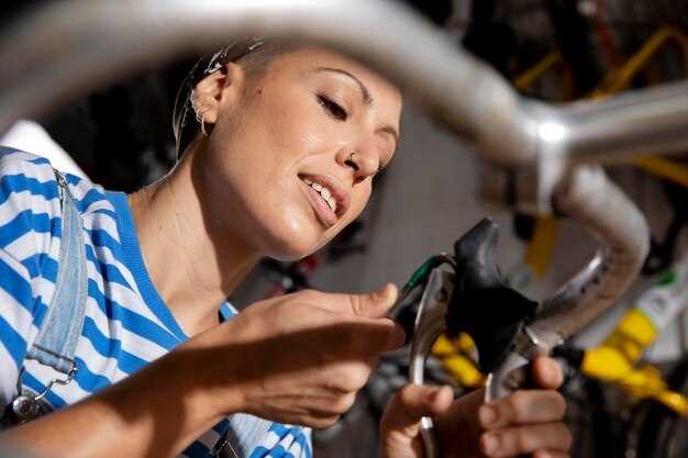 El mantenimiento del coche en climas extremos